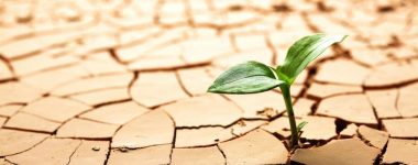 Reconnaître notre aveuglement…