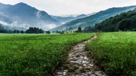 Un Processus de Transformation